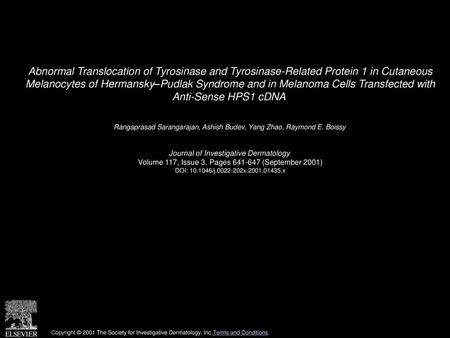 Abnormal Translocation of Tyrosinase and Tyrosinase-Related Protein 1 in Cutaneous Melanocytes of Hermansky–Pudlak Syndrome and in Melanoma Cells Transfected.