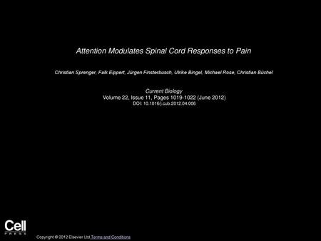 Attention Modulates Spinal Cord Responses to Pain