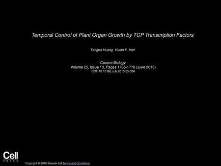 Temporal Control of Plant Organ Growth by TCP Transcription Factors
