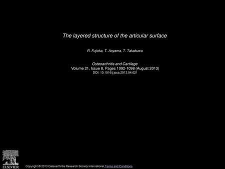 The layered structure of the articular surface