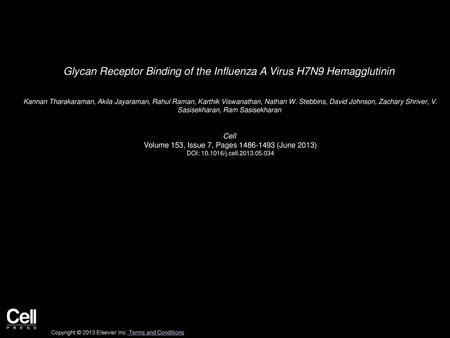 Glycan Receptor Binding of the Influenza A Virus H7N9 Hemagglutinin