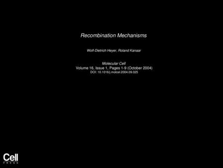 Recombination Mechanisms