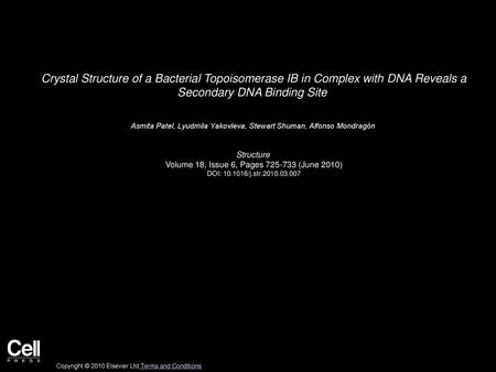 Crystal Structure of a Bacterial Topoisomerase IB in Complex with DNA Reveals a Secondary DNA Binding Site  Asmita Patel, Lyudmila Yakovleva, Stewart.