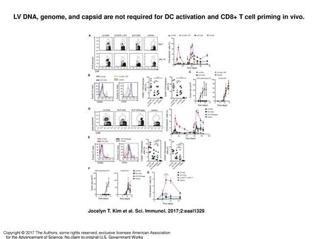 LV DNA, genome, and capsid are not required for DC activation and CD8+ T cell priming in vivo. LV DNA, genome, and capsid are not required for DC activation.