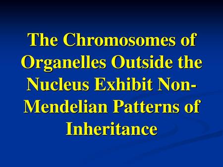 Chapter 19 The Genetics of Organelles 12/26/ ppt download