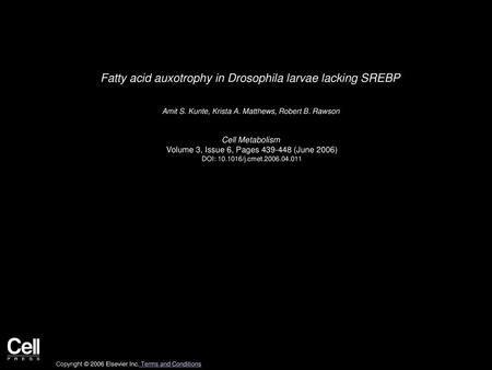 Fatty acid auxotrophy in Drosophila larvae lacking SREBP