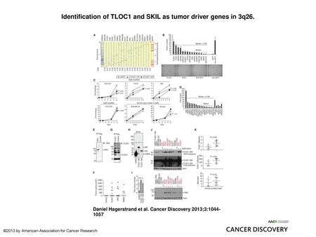Identification of TLOC1 and SKIL as tumor driver genes in 3q26.