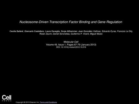 Nucleosome-Driven Transcription Factor Binding and Gene Regulation
