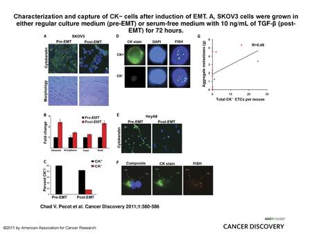 Characterization and capture of CK− cells after induction of EMT