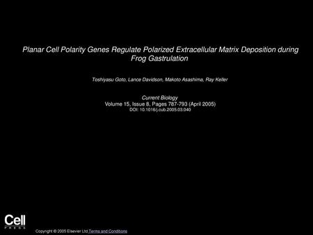 Planar Cell Polarity Genes Regulate Polarized Extracellular Matrix Deposition during Frog Gastrulation  Toshiyasu Goto, Lance Davidson, Makoto Asashima,