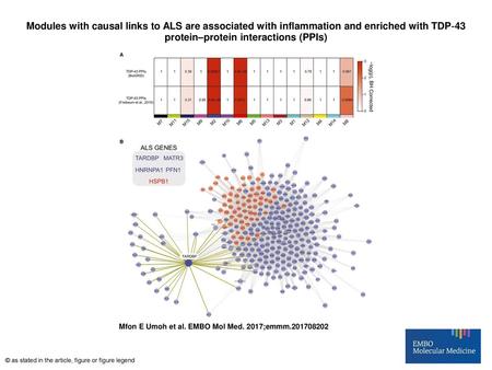 Modules with causal links to ALS are associated with inflammation and enriched with TDP‐43 protein–protein interactions (PPIs)‏ Modules with causal links.