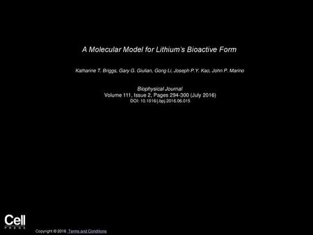 A Molecular Model for Lithium’s Bioactive Form