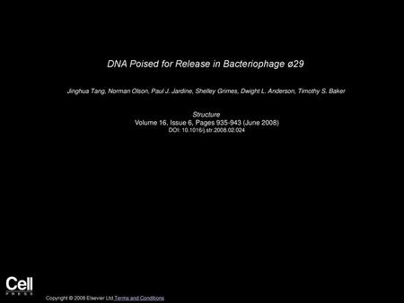 DNA Poised for Release in Bacteriophage ø29