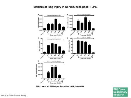 Markers of lung injury in C57Bl/6 mice post IT-LPS.