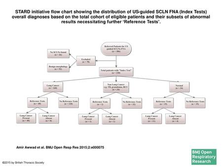 STARD initiative flow chart showing the distribution of US-guided SCLN FNA (Index Tests) overall diagnoses based on the total cohort of eligible patients.