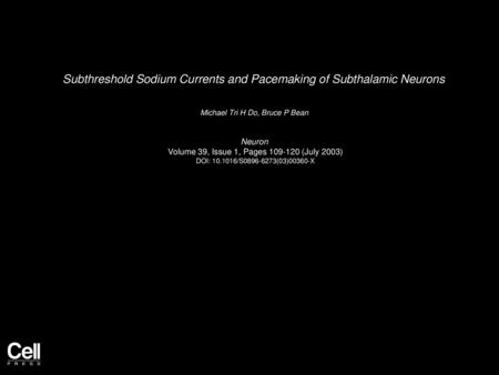 Subthreshold Sodium Currents and Pacemaking of Subthalamic Neurons