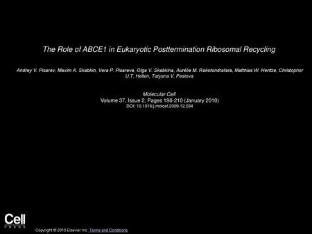 The Role of ABCE1 in Eukaryotic Posttermination Ribosomal Recycling