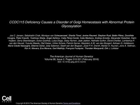 SLC39A8 Deficiency: A Disorder of Manganese Transport and Glycosylation ...