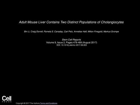 Adult Mouse Liver Contains Two Distinct Populations of Cholangiocytes
