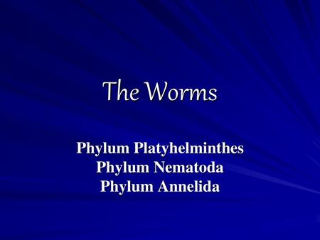 phylum platyhelminthes nematoda annelida)