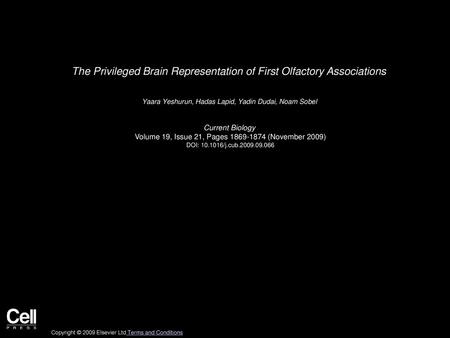The Privileged Brain Representation of First Olfactory Associations