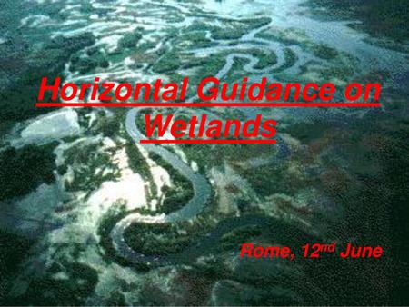 Horizontal Guidance on Wetlands Rome, 12nd June