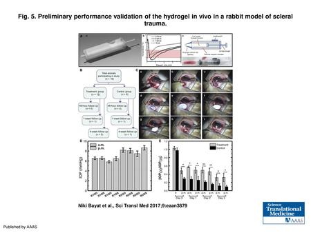 Fig. 5. Preliminary performance validation of the hydrogel in vivo in a rabbit model of scleral trauma. Preliminary performance validation of the hydrogel.