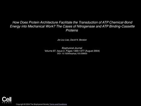 How Does Protein Architecture Facilitate the Transduction of ATP Chemical-Bond Energy into Mechanical Work? The Cases of Nitrogenase and ATP Binding-Cassette.