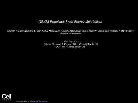 GSK3β Regulates Brain Energy Metabolism