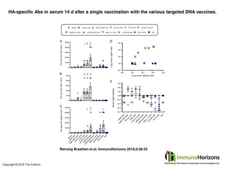 HA-specific Abs in serum 14 d after a single vaccination with the various targeted DNA vaccines. HA-specific Abs in serum 14 d after a single vaccination.