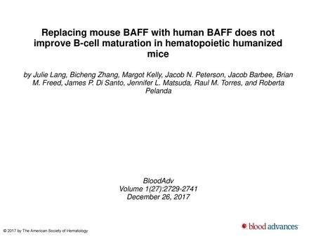 Replacing mouse BAFF with human BAFF does not improve B-cell maturation in hematopoietic humanized mice by Julie Lang, Bicheng Zhang, Margot Kelly, Jacob.