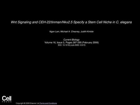 Wnt Signaling and CEH-22/tinman/Nkx2. 5 Specify a Stem Cell Niche in C