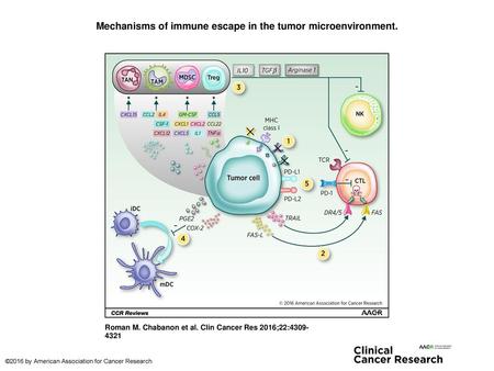 Mechanisms of immune escape in the tumor microenvironment.
