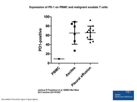 Expression of PD‐1 on PBMC and malignant exudate T cells