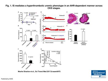 Fig. 1. IS mediates a hyperthrombotic uremic phenotype in an AHR-dependent manner across CKD stages. IS mediates a hyperthrombotic uremic phenotype in.