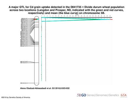 A major QTL for Cd grain uptake detected in the D041735 × Divide durum wheat population across two locations (Langdon and Prosper, ND, indicated with the.
