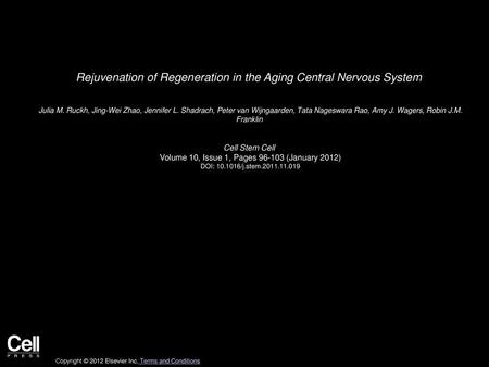 Rejuvenation of Regeneration in the Aging Central Nervous System