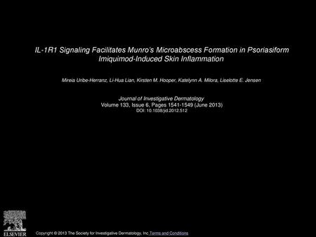 IL-1R1 Signaling Facilitates Munro’s Microabscess Formation in Psoriasiform Imiquimod-Induced Skin Inflammation  Mireia Uribe-Herranz, Li-Hua Lian, Kirsten.