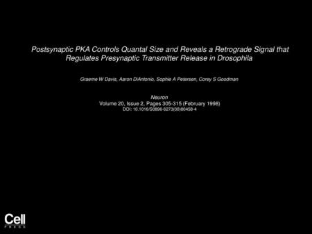 Postsynaptic PKA Controls Quantal Size and Reveals a Retrograde Signal that Regulates Presynaptic Transmitter Release in Drosophila  Graeme W Davis, Aaron.