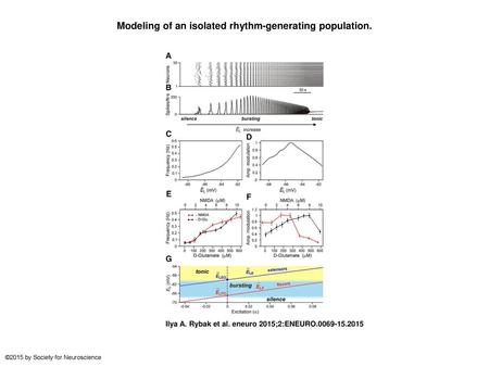 Modeling of an isolated rhythm-generating population.