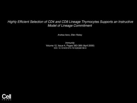 Highly Efficient Selection of CD4 and CD8 Lineage Thymocytes Supports an Instructive Model of Lineage Commitment  Andrea Itano, Ellen Robey  Immunity 