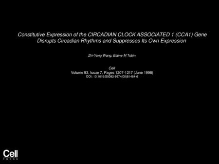 Constitutive Expression of the CIRCADIAN CLOCK ASSOCIATED 1 (CCA1) Gene Disrupts Circadian Rhythms and Suppresses Its Own Expression  Zhi-Yong Wang, Elaine.