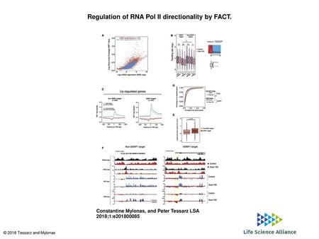 Regulation of RNA Pol II directionality by FACT.
