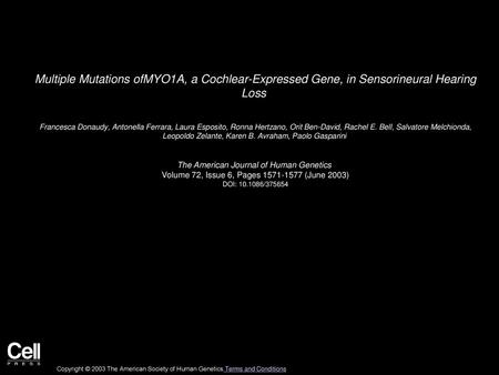 Multiple Mutations ofMYO1A, a Cochlear-Expressed Gene, in Sensorineural Hearing Loss  Francesca Donaudy, Antonella Ferrara, Laura Esposito, Ronna Hertzano,