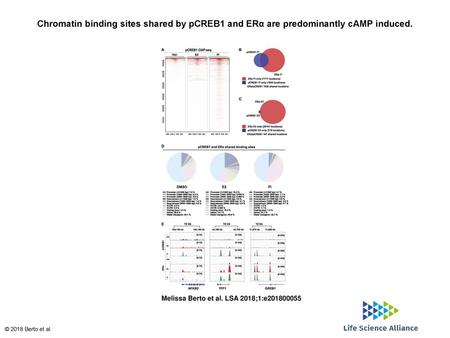 Chromatin binding sites shared by pCREB1 and ERα are predominantly cAMP induced. Chromatin binding sites shared by pCREB1 and ERα are predominantly cAMP.