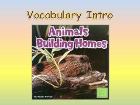 Animals Building Homes - ppt download