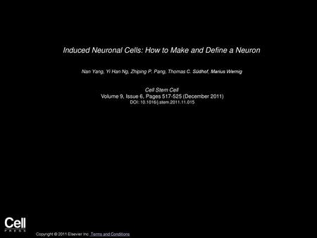 Induced Neuronal Cells: How to Make and Define a Neuron