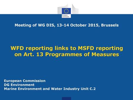 Meeting of WG DIS, October 2015, Brussels