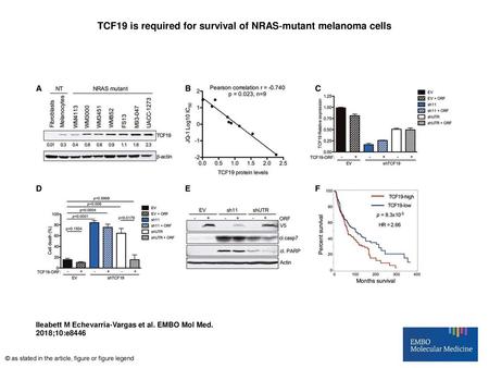 TCF19 is required for survival of NRAS‐mutant melanoma cells