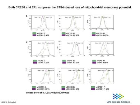 Both CREB1 and ERα suppress the STS-induced loss of mitochondrial membrane potential. Both CREB1 and ERα suppress the STS-induced loss of mitochondrial.